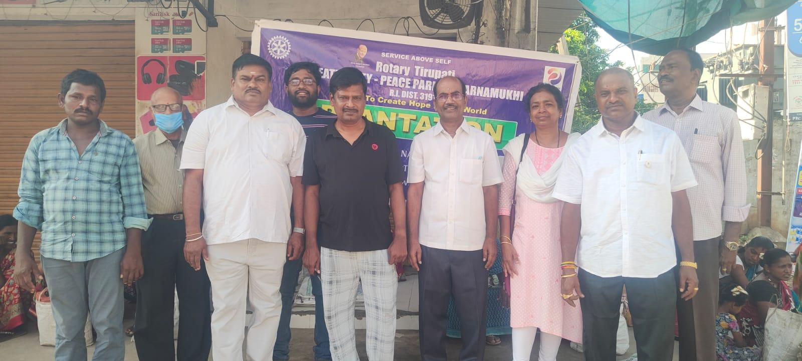 Plantation Drive
